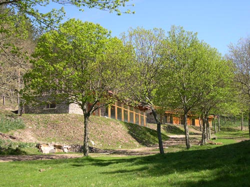 ascorcerizas