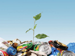 090709_planta_con_residuos