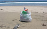 090821_basura_praia