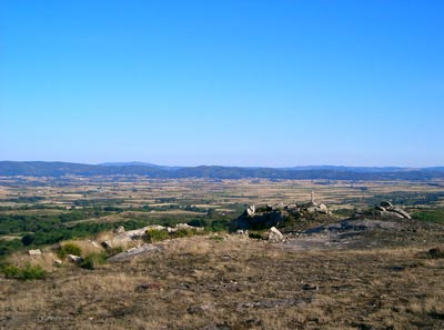 antela_actual