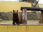 Vigozoo-2008-88