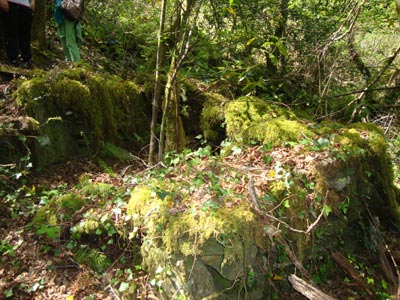 100425_fragas_do_eume_curripa