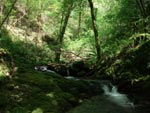 100425_fragas_paisaxe_