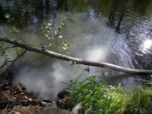 vertidotamega_100511