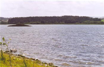 afrouxeiralaguna1