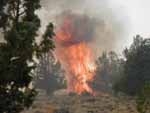 incendio_forestal