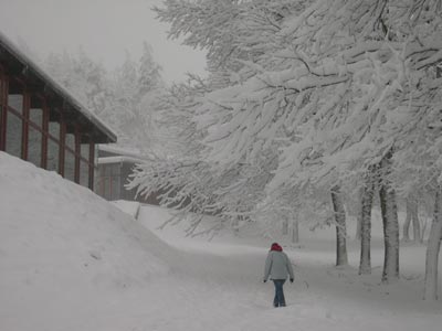 corces_nevado