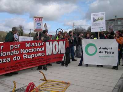 090125_rodeiro_raposo