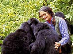 Rwanda--Dian-Fossey-Royalty_copy