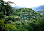 biodiversidad
