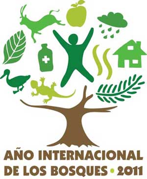 logo-ao-internacional-de-arbol