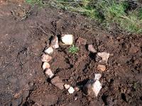 plantacion_arnuide_020