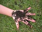 compost_mano