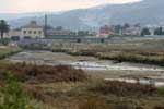 rio_lagares