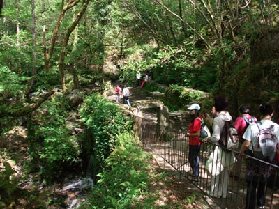 ecovixa