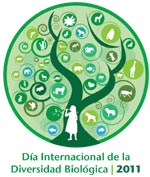 idb-2011-logo-es-v