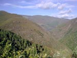 Montesgalegos