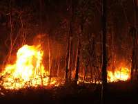 Incendio_Morrazo__4_copy