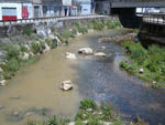 120430_barbannica