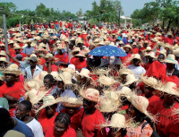 Informe_lucha_contra_Monsanto