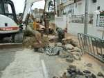 tala_Arbores_vigo_01