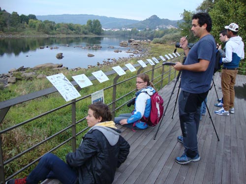 salida_climatica_dia_aves