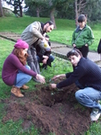 plantacion_nadal_2012_II