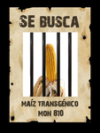 se_busca_mon810