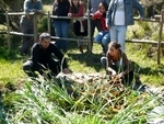 110513_macrofitas_curso__fitodepuracion