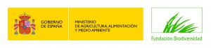 logo_FB