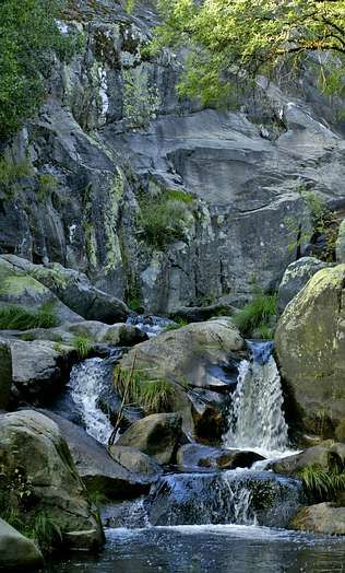 fervenza_viao