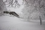 comedor_neve