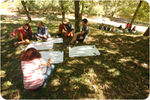 2014_cursos_primavera