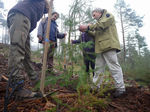 140405_prantafragas_01