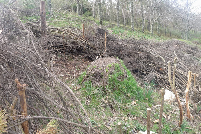140405_prantafragas_02
