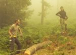 250814 voluntariado forestal