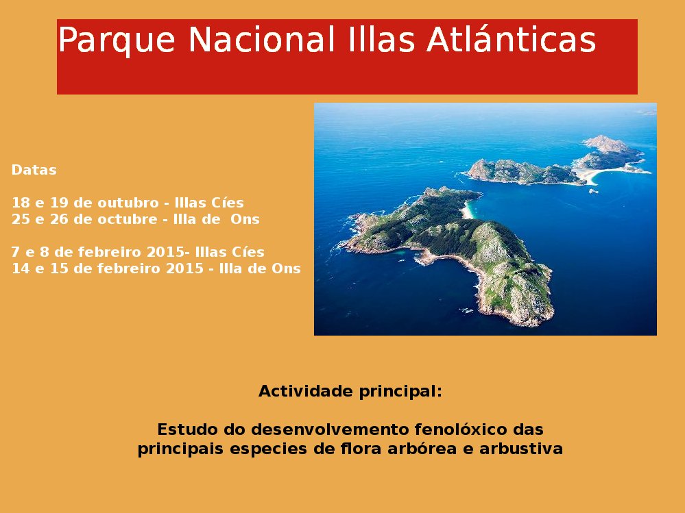 illas cies pn 14 ok copy
