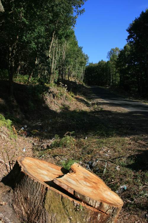 sanpedroderocas covas ribeira sacra01