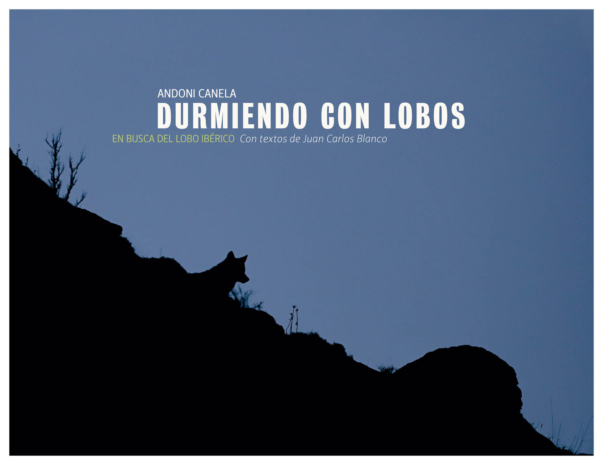 Portada Durmiendo con Lobos 1920