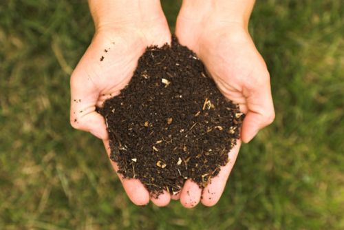 compost1