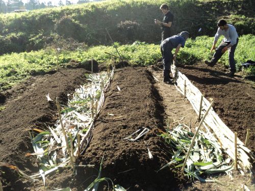 programa horta ecoloxica 2015 II