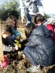 20150210 plantacion Monte Guia II