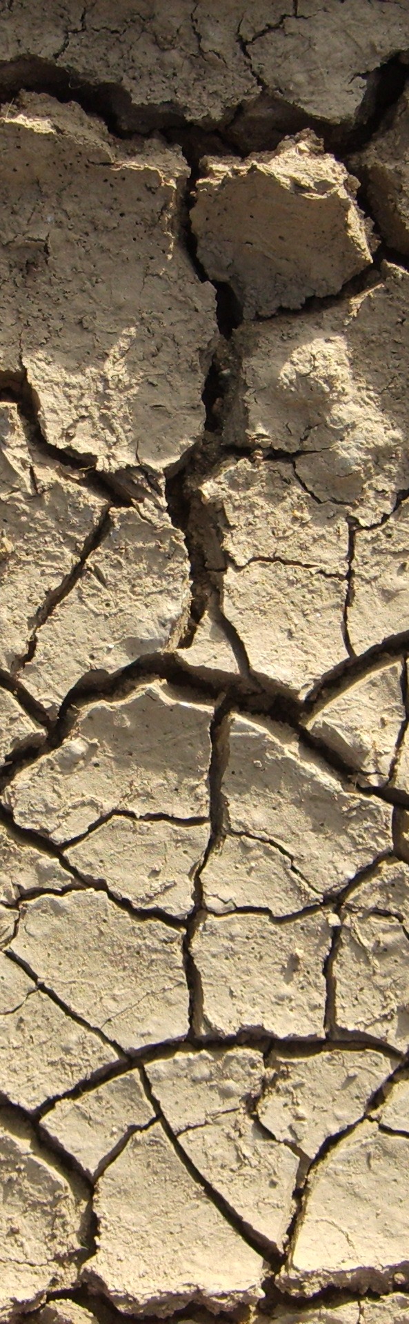 Barro Seco