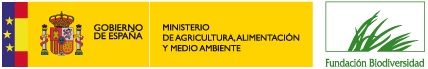 logo fb online