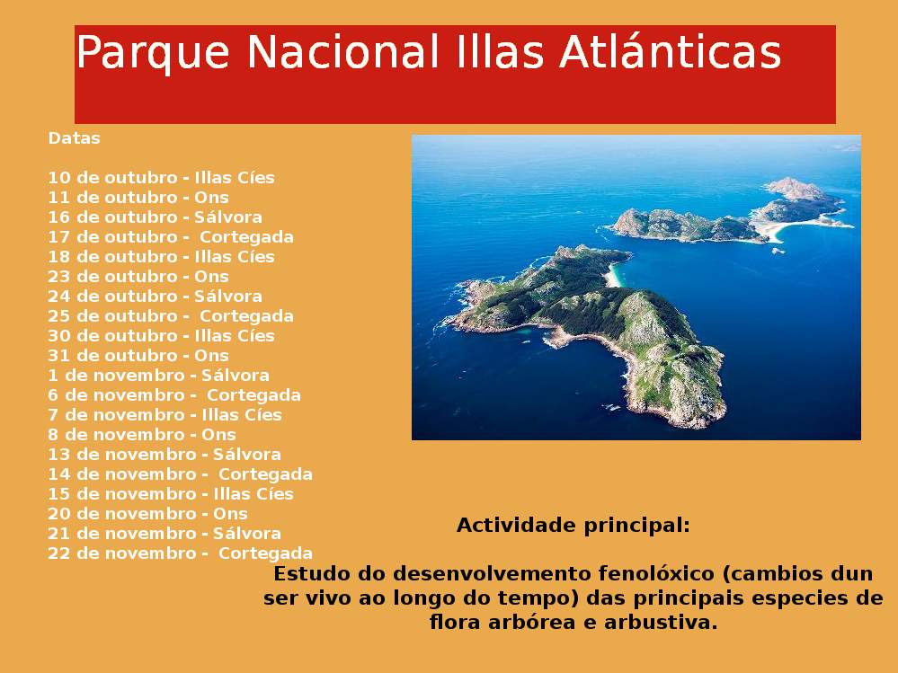 illas cies pn 15 ok