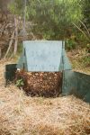 Compost 1