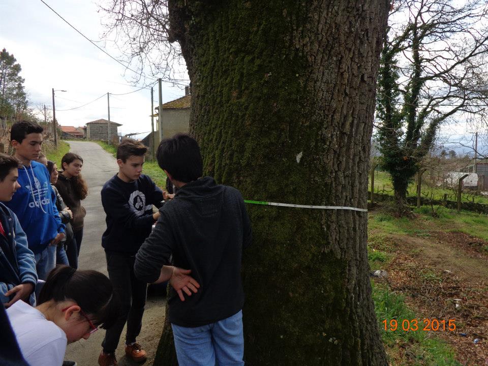 carballo vdeastres 4