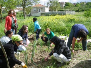 Curso de horta en Ourense