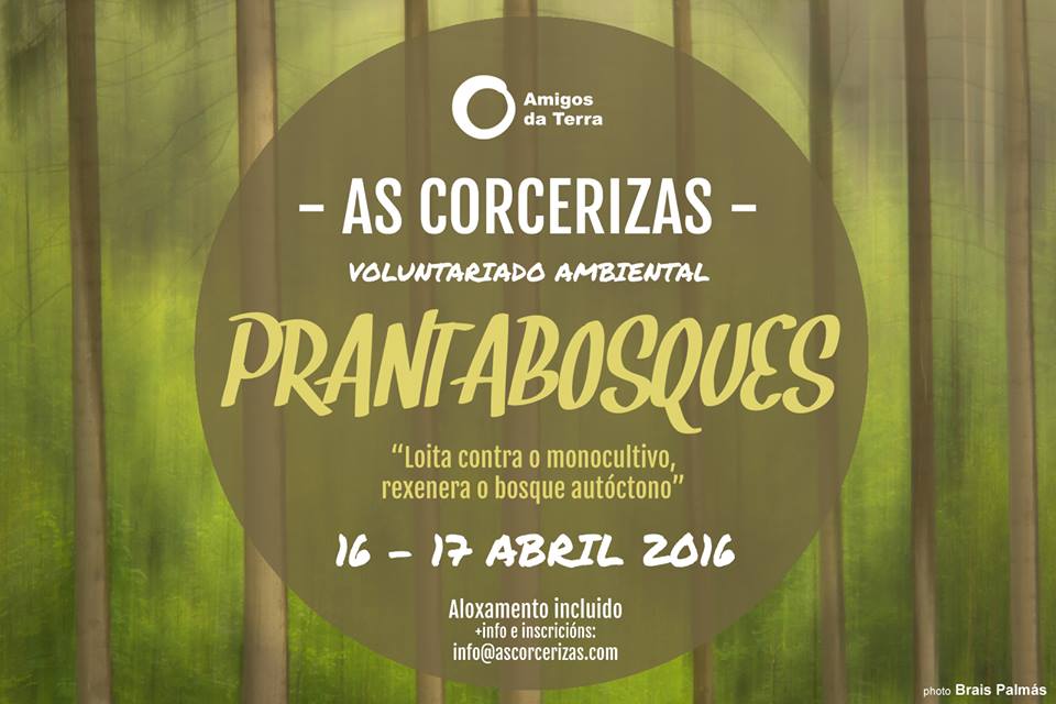 1604016 vol corcerizas