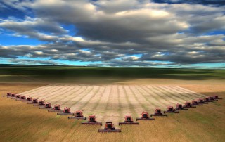 agricultura industrial